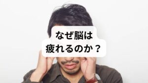 脳疲労の最大の原因は、情報の入れすぎです。

1. デジタルによる脳の過労
現代人は1日に、江戸時代の1年分、平安時代の1生分もの情報に触れていると言われています。 特にスマートフォンによるSNSや動画の視聴は、脳の「前頭葉」を休ませる暇を与えず、常にフル稼働させてしまいます。

2. 自律神経の乱れ
脳の視床下部は、自律神経をコントロールする司令塔です。 ストレスや不規則な生活が続くと、この司令塔がパンクし、脳そのものが疲弊してしまいます。

3. マルチタスクの弊害
複数の仕事を同時にこなそうとすると、脳には想像以上の負荷がかかります。 「脳は一度に一つのことしか処理できない」という特性を無視し続けることが、疲労を蓄積させる原因となります。