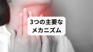 更年期特有の体の変化が、どのように喉の渇きに結びついているのかを深掘りします。
① エストロゲン減少による粘膜の乾燥
エストロゲンは、目、鼻、口、喉、そして膣など、全身の「粘膜」をみずみずしく保つ役割を担っています。閉経前後にこの分泌が低下すると、粘膜が薄くなり、水分を保持できなくなります。
② 自律神経の乱れと唾液の質
更年期は自律神経が不安定になりがちです。自律神経は唾液の分泌をコントロールしているため、乱れると**「サラサラした唾液」が減り、「ネバネバした唾液」が増えます。**これが喉の張り付き感や強い渇きを引き起こします。
③ 心理的ストレスによる影響
更年期世代は仕事や介護など、ライフスタイルの変化が多い時期です。過度なストレスは口呼吸を誘発したり、唾液分泌を抑制したりするため、物理的な乾燥を加速させます。
