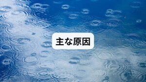 緊急の病気ではない場合、なぜ背中に不調が出るのでしょうか。そのメカニズムは大きく分けて3つあります。

1. ストレスによる「筋緊張」の連鎖
精神的なストレスを感じると、脳は体を守るために「戦うモード（交感神経優位）」にします。すると、無意識に背中や肩に力が入り、筋肉が凝り固まります。これが慢性化すると、自律神経が常に乱れ、痛みを感じやすい体質になってしまいます。

2. デスクワーク・スマホによる「姿勢不良」
長時間のパソコン作業は、頭が前に出る「巻き肩」や「猫背」を招きます。この姿勢は背中の筋肉（多裂筋や僧帽筋）に常に数キロの負荷をかけ続け、血流不良を引き起こします。

3. 「息苦しさ」を伴う理由
背中の筋肉が硬くなると、呼吸の際に動くべき「肋骨（胸郭）」の動きが制限されます。深く息を吸い込めなくなるため、脳が「酸素不足」を感じ、不安感やさらなる自律神経の乱れを招くという悪循環に陥ります。