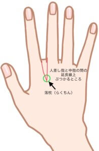 ・場所： 手の甲側、人差し指と中指の付け根にある関節から、約1cmほど手首側に下がったくぼみ。
・押し方： 首をゆっくり回しながら、痛気持ちいい強さで垂直に押します。