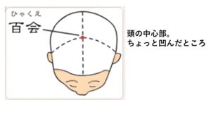 左右の耳の最高部を結んだ線と、顔の中心線が交わる頭のてっぺんにあります。 自律神経を整える働きがあり、ストレス性の頭痛や全身の重だるさに効果的です。
・押し方： 中指を立てて、真下に向かってゆっくりと垂直に押します。
・ポイント： 深呼吸を合わせながら行うと、リラックス効果が高まります。