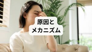 そもそも、なぜ私たちは不安を感じるのでしょうか。その正体を知ることで、恐怖心を和らげることができます。

不安と恐怖の違い
最近の研究によれば不安と恐怖には明確な違いがあります。
・恐怖： 「目の前の蛇」など、具体的な対象に対する反応。
・不安： 「いつか起きるかもしれない不都合」など、対象がはっきりしない漠然とした恐れ。

脳の防衛本能
不安を感じるのは、あなたの脳が「危険を察知して、生き残ろうとしている」からです。つまり、不安を感じること自体は生存戦略として正しい反応であり、あなた自身の性格が弱いわけではありません。