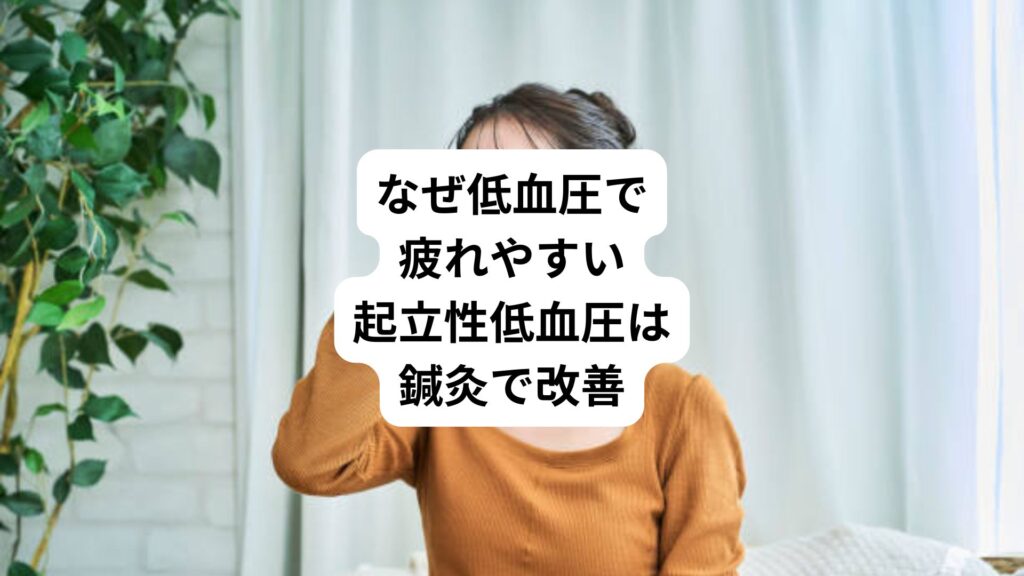 なぜ低血圧で疲れやすい｜起立性低血圧は鍼灸で改善