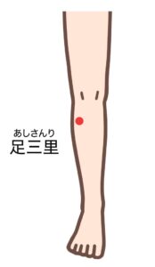足三里は、胃腸の働きを活発にし、消化不良や重だるい吐き気を改善するツボです。病気予防や疲労回復にも使われる有名なツボです。
・場所：ひざのお皿の外側にあるくぼみから、足首に向かって「指4本分」下がったところの、すねの骨の外側にあります。
・押し方：両手の親指を重ねて当て、脚の中心に向かって押し込むように刺激します。吐き気で食欲がない時や、胃もたれを感じる時におすすめです。