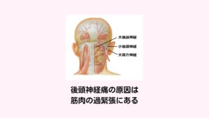 後頭神経痛の原因は筋肉の過緊張にある後頭神経痛を起こす神経は3種類あります。大後頭神経、小後頭神経、大耳介神経の3つの神経です。
いずれも、僧帽筋(そうぼうきん)や胸鎖乳突筋(きょうさにゅうとつきん)といった頭を支える首の筋肉の隙間から皮膚の表面に向かって伸びています。

そのため首の筋肉が緊張し張ってくるとこれらの神経が圧迫をうけて刺激になり神経痛を引き起こします。
元々、首こりや肩こりなど首周りの筋肉のこりが強い人であったり、ぎっくり首や寝違えなどを起こしやすい人が後頭神経痛を発生させる傾向にあります。

また、長時間の猫背姿勢でいることで起きる「ストレートネック(スマホ首)」や変形性頚椎症の人も後頭神経痛になりやすいといわれています。
さらに精神的ストレスや気候の変化(特に雨の前日)などによっても僧帽筋の緊張が起こりやすく後頭神経痛を発生させる誘因になることが分かっています。※2

※心身のストレスによって頭のてっぺんがピリピリと痛みが起こることがあります。
　詳細な情報は下記のリンクからご覧ください。