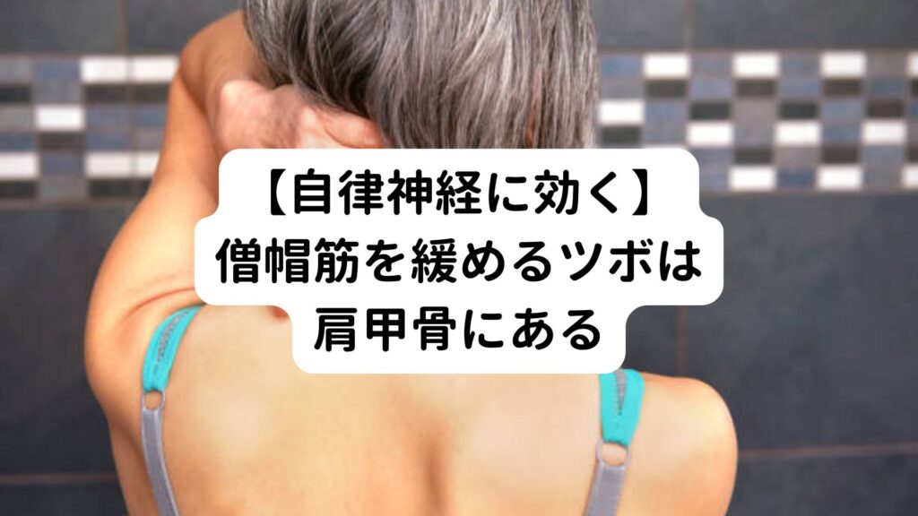 【自律神経に効く】僧帽筋を緩めるツボは肩甲骨にある