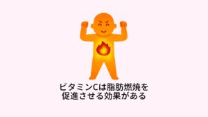 私たちの身体は主に糖分と脂肪を燃やしてエネルギーを生み出していますが、ビタミンCは、脂肪が燃えるときに必要なカルニチンという物質の生成に不可欠なのです。
脂肪がうまく燃えないと、それだけエネルギーは不足し、疲労もたまりやすくなります。
ですから、ビタミンCをたっぷりとっておけば、ストレスも疲労もたまらず、逆に、疲れたときやストレスを感じたときにビタミンCを補給すれば、回復も早いというわけなのです。