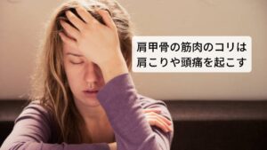 肩甲骨の筋肉のコリは肩こりや頭痛を起こすデスクワークなどで同じ姿勢でいると「背中が張って苦しい」「首から背中にかけて痛みを感じる」など背中の痛みや肩こり症状の原因には肩甲骨の筋肉のコリがあります。
この肩甲骨の筋肉のコリは悪化すると首の筋肉の緊張を高めて頭痛を起こす可能性があります。

今回は肩甲骨の動きの不調によって起こる肩こり頭痛について解説します。