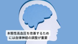 本態性高血圧を改善するためには自律神経の調整が重要本態性高血圧を改善するためには自律神経の調整が重要