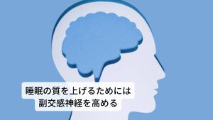 睡眠の質を上げるためには副交感神経を高めるこのような中途覚醒や熟眠障害などで起こる「浅い睡眠」の症状を改善するためには副交感神経を高めることが必須になります。
副交感神経が高まることで就寝中に血管拡張、血圧降下、心拍数低下、筋肉の弛緩など睡眠に必要な条件が揃い、朝までこのリラックス効果が続きます。