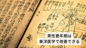 男性ののぼせ症状は東洋医学で改善できる東洋医学では男性更年期の原因を

①生殖器の栄養不足
②胃腸の不調
③ストレスによる情緒不安定
④湿気の停滞

と４つに分けて考えます。
これらの原因を改善できればテストステロンの分泌を促すことができ自律神経症状も改善されます。