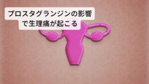 生理痛のおしりの痛みはプロスタグランジンの影響生理痛は排卵後に厚くなっていた子宮の壁が役目を終えて剥がれ落ち血液とともに体外に排出されるときに起きます。
このときに生理痛（月経痛）の原因となっているのはプロスタグランジンというホルモンです。

このプロスタグランジンは分泌量が多いと子宮の収縮が強くなり周囲の血管の充血や鬱血などが起こり痛みの原因になります。
「おしりから突き上げるような痛みでつらい」、「生理前や生理中におしりがキューっと痛い」という症状はこの子宮の収縮や鬱血の痛みになります。

これらの痛みが生活に支障が出るほどのひどい痛みの生理痛（月経痛）の場合は「月経困難症」と診断されることがあります。※1