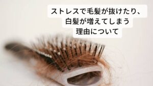 ストレスで毛髪が抜けたり、白髪が増えてしまう理由について抜け毛はストレスでも起こります。
その原因には自律神経の乱れが関係しています。

自律神経の乱れによる症状はイライラや憂鬱感などの精神的な症状だけでなく全身の血行循環の不調なども引き起こします。
血行循環の不調は血液の滞りとして頭皮に現れます。

この血液の滞りが頭皮に新しい血液が行き渡らずに潤い不足と栄養不足を引き起こします。※2