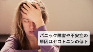 パニック症状や不安症の原因はセロトニンの不足ストレスなどによりホルモン分泌が低下するとセロトニンの分泌も連動して低下するといわれています。

今まではパニック障害や不安症の症状が自律神経の乱れによって各器官の機能が過敏に反応するだけかと思われていましたが、セロトニンの減少によって精神安定にも影響が起きていることがわかってきました。※2