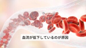 体がピリピリするのは自律神経の不調により血流が低下しているこの神経障害性疼痛の出現する原因に交感神経の興奮によって起こる血行不良が要因としてあげられます。

神経障害性疼痛になる方の多くは急性期から続いている「痛み」の存在があります。
この痛みは自律神経の中でも「交感神経を優位」にさせる反応が起こります。

交感神経が優位に働くと血管が収縮し血流が悪くなるのが特徴です。
そのため常にケガや病気の部位は血流が悪くなり神経を含めた軟部組織(筋肉や皮膚など)の栄養が不足します。

この血流が悪くなって栄養不足に陥ることで痛みが繰り返し出現するといわれています。