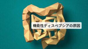 機能性ディスペプシアの原因胃腸の痛みや不快感を引き起こす機能性ディスペプシアは、その原因が明らかになっていない疾病の一つです。
しかし、おもな要因としては次のものが挙げられます。

[もともと消化機能が低い状態]
人間の胃は食事の際、食べものを取り込むために胃の緊張を緩めて膨らむようにできています。
これを適応性弛緩(てきおうせいしかん)と呼びます。
しかし、ストレスなどにより自律神経が乱れるとこの適応性弛緩の働きが損なわれて、緊張したままの胃に無理に食べ物が入り込んで不快な症状が出現します。
また胃の機能が低下すると食事を胃から腸へ送るための“ぜん動”がスムーズに出来なくなり胃もたれを引き起こします。
それ以外にも過食や刺激物の摂取（唐辛子など）などで粘膜の知覚過敏が起きると同様に症状が誘発されます。

[心因性によるもの]
過労や睡眠不足など身体に負担をかけたとき、心配ごとや心理なストレスなど、精神的につらい状況でも胃腸症状があらわれます。
こういったものも自律神経に強いストレスを与えてトリガーとなり機能性ディスペプシアを引き起こすことがあります。