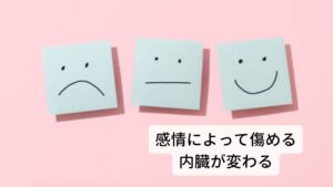 感情によって内臓痛の症状が変わる怒りすぎる→肝を傷める（血液が消耗する・自律神経が乱れる）
喜びすぎる→心を傷める（心臓の拍動が弱まる、精神が不安定になる）
思いすぎる（考えすぎる）→脾を傷める（胃腸の働きが弱くなる）
憂いすぎる（悲しすぎる）→肺を傷める（呼吸の働きが弱くなる）
恐れすぎる（驚きすぎる）→腎を傷める（水分代謝が弱くなる）