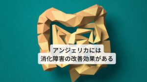 アンジェリカは和名がヨーロッパトウキと呼ばれています。 主要成分はフィトステロール、糖類などが含まれています。
アンジェリカの作用は
①健胃作用（胃を元気にする）
②去痰作用（痰の排出を促す）
③利尿作用
④駆風（腸のガスを排出する）
⑤温熱作用
⑥食欲増進
⑦気力回復
⑧消化促進
 また効用には消化不振の改善、消化障害の改善、気力の上昇、胃腸の痙攣を緩和させる、体力の上昇、冷え性の改善、更年期の緩和などがあります。