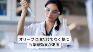 オリーブとは、南ヨーロッパ、北アフリカが原産で地中海の沿岸に多くみられるモクセイ科の常緑樹です。
日本でも最近では育てている方が一般的になっています。オリーブはとくに果実と核から生成されたオリーブオイルが広く普及しています。
しかし、オリーブはオリーブ油だけでなく、葉を活用したお茶や、化粧品、オリーブ染めなど多様な方面で活用されています。