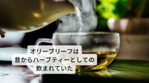 オリーブリーフ（オリーブの葉）は幅１㎝、長さ４～８㎝ほどの大きさで形は品種によって異なります。
葉っぱの表面は透明な角皮に覆われておりツルツルと光沢があります。裏面は細かい毛が生えていて白っぽい色をしています。地中海沿岸地域では、オリーブリーフ（オリーブの葉）は何千年も前から様々な形で活用されてきました。
最も身近なのがハーブティーとしてのオリーブ茶です。葉を煎じてお茶にして飲むのが一般的です。このオリーブ茶の効能は健康増進や精神をリラックスさせる鎮静作用などがあるとされ、民間薬として庶民に用いられていたようです。
その他にも、マラリアの治療薬や解熱剤としてオリーブリーフ（オリーブの葉）を粉末にし薬として服用されていました。果実とともにオリーブリーフ（オリーブの葉）もなくてはならない存在なわけです。