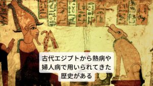 ローマンカモミールはその優れた治癒力により、古代エジプトでは神への捧げ物とされており、４千年前のバビロニアやヨーロッパでは、すでに風邪などの熱病や婦人病の民間治療薬として用いられていたという記録があります。
また絶世の美女クレオパトラも、安眠のためにローマンカモミールを利用した沐浴やハーブティーを使って健康管理をしていたとされています。
 他にもピーターラビットの童話の中で、お腹をこわしたピーターにお母さんがローマンカモミールティーを飲ませてあげるシーンを見たことがある人も多いのではないでしょうか。
このようにローマンカモミールは古くから家庭の中で日常的なハーブとして親しまれてきた歴史があります。