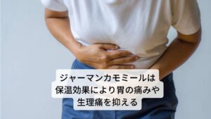 カモミールは和名ではカミツレ（加密列）と呼ばれています。 
主要成分は精油（α-ビサボロール、カマズレンなど）、セスキテルペンラクトン類（マトリシンなど）、フラボノイド（アビゲニン、ルテオリンなど）、コリン、クマリン類などが含まれます。 
作用には
①消炎作用
②鎮静作用
③鎮痙（痙攣を鎮める）
④駆風作用（腸のガスを排出させる）
⑤発汗作用
⑥保湿作用
⑦保温作用
⑧殺菌作用
⑨筋肉の弛緩作用
⑩抗アレルギー作用 
効用には胃炎や胃潰瘍の改善、生理痛を抑える、皮膚炎の改善、消化障害の改善、ストレスによる不眠症の改善、喘息などの肺疾患の改善などがあります。