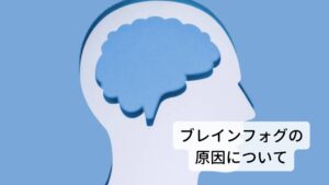 脳が疲れやすい人の特徴とはブレインフォグの原因は、脳に対する継続的なストレスや慢性疲労、睡眠不足や自律神経の乱れ（メンタルの不調）などです。
そのため、食事や睡眠を含めた生活習慣を見直し脳の疲労回復を促していくことがとても重要です。

また生活習慣において脳の疲労やストレスをかけない環境整備を心がけることも大切です。
ブレインフォグの症状の中で最も多い「思考力の低下、集中力の低下」は自律神経の働きのアンバランスにより起きていると考えられています。