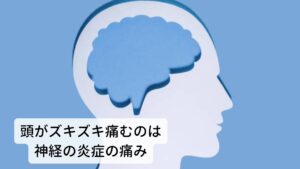 頭がズキズキ痛むのは神経の炎症の痛み片頭痛の原因は古くから脳の血流が一過性に増加することで血管が拡張し、その拡張した拍動が神経に触れてズキズキと痛むという「血管が拡張して起こる痛み」が主流でした。
しかし、最近の研究ではこの血管の拡張の痛みではなく、脳内を組織している脳神経の三叉神経が炎症を起こして起こる痛み「神経の炎症反応の痛み」が有力になりました。