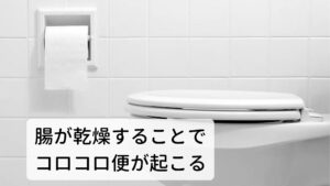 頑固なコロコロ便が起こる原因は腸の乾燥便通は健康のバロメーターです。しかし、毎日気持ちよく排便することが健康の秘訣ですが、スッキリ出ない便秘の方が増えています。
とくに便秘の中で女性や高齢者に多いのが“コロコロ便”です。

東洋医学では「腸燥便秘(腸が乾燥している便秘)」と呼ばれています。
腸が乾燥しているため放置しておく切れ痔やいぼ痔などに進行する可能性もあります。

腸の中が乾燥すると硬くコロコロした便になったり、便が硬いため、無理矢理いきんで排便しようとすると肛門が傷つき切れやすくなります。
それが肛門の痛みや切れ痔などにつながります。「便がなかなか出にくい」「いつも便が硬くてコロコロしている」「無理にいきむと出血する」など便通に悩みを抱えている方はこの「腸がカラカラに乾燥している状態」が考えられます。※2