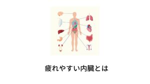 東洋医学では内臓の疲れが身体の疲れ（倦怠感）を引き起こすと考えます。内臓の疲れにも種類がありますが、どの内臓の疲れでもまず前兆として身体の疲労感、倦怠感が現れます。
なので「なんとなく疲れている」というのは不調の悪化や病気を引き起こす前兆として東洋医学では捉えて治療する必要があると考えています。
内臓の疲れのなかでもよく疲労を起こしやすい内臓があり、胃腸・肝臓とあります。各内臓には傷めやすい生活習慣があり気をつけることで倦怠感の予防にもつながります。