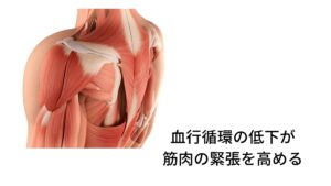 血行循環の低下が筋肉の緊張を高めてしびれや痛みを起こすこの自律神経の乱れによって起こる血行循環の低下は腰部や臀部の筋肉温度が上昇しないだけでなく筋肉の柔軟性が低下します。
筋肉のしっかりとした伸び縮みが起こらないと筋肉のストレスが高まり緊張が高まります。

この筋緊張の高まりが不調を起こします。