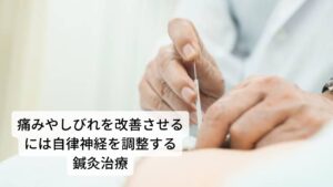 かかとの痛みやしびれを改善させるには自律神経を調整する鍼灸このような「朝起きた時に腰の痛みや足のしびれがする」症状は自律神経を調整する鍼灸治療が効果的です。
鍼灸治療は筋肉の緊張を緩めて、痛みやしびれを改善させます。

また自律神経を整えることで就寝時から起床時の副交感神経と交感神経の切り替わりが上手くいき血行循環が改善され腰痛やしびれの予防にもつながります。