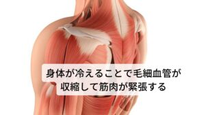 身体が冷えることで毛細血管が収縮して筋肉が緊張するのが頭痛の原因身体に冷気が当たると体表面から内側にかけて徐々に毛細血管が収縮して血行循環が悪くなります。
この血行循環が悪くなることで周囲の筋肉の血流も滞り筋肉が緊張し始めます。

寒い時期に身体が冷えて肩こり頭痛が起こりやすいのはこの冷えによって血行循環が悪くなるのが原因です。
また「寒くなると身体が硬くなってケガをしやすくなる」という現象も同じ現象です。