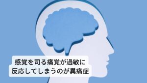 痛覚が過敏に反応して皮膚の表面がピリピリするのが原因異痛症はケガや病気の後遺症などによって、神経が過剰に反応して痛みを引き起こす、神経障害性疼痛(しんけいしょうがいせいとうつう)の一つと考えられています。

異痛症はなんらかの原因にたいして神経が過敏に反応することで起こります。
例えば健康体であれば何かが体表面に触れたときは「触覚」が働いて、「何かが触れた」と脳が認知します。

しかし、異痛症の場合は触覚ではなく「痛覚」が働いて「痛い」と脳が認知してしまい、刺激を感じる感覚がちがうものになってしまいます。※1

※神経障害性疼痛についての詳細な情報は下記のリンクからご覧ください。