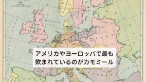 カモミールは、ハーブティーの原料として世界的に最も広く知られて飲まれている一つになります。毎年、米国に輸入されているカモミールの量は、750,000～1,000,000ポンド（約335～446トン）であり、その90％がハーブティーとして使われているとされています。
米国や欧州では、ハーブティーだけでなく健康と美容を目的にした外用剤（湿布やパックなど）としても広く使われているハーブになります。