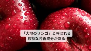 心身をリラックスさせてくれるカモミールティーですが、カモミールという名前の由来は、「大地のリンゴ」を意味するギリシャ語だといわれます。
これが示すように、カモミールティーはリンゴに似た甘い香りが特徴です。
春に咲き始める白い小花は、やがて熟してくると黄色い中心部から芳香を放します。