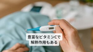 またキャットニップの葉にはビタミンCによる解熱作用が含まれているためインフルエンザや風邪などの発熱性疾患の際に飲むと効果的だといわれています。
他にはキャットニップは食材や調味料としても利用されており、中世頃からヨーロッパではキャットニップの葉が肉への香りづけに使用されたり、新芽がサラダとして使用されています。
現在はイタリアでもサラダやスープ、キャセロールという家庭料理に用いられています。