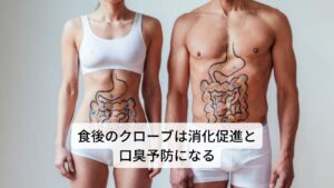  またクローブには吐き気を抑える効果が強いので胃もたれやストレス性の胃炎など胃がムカつくときなどに摂取すると効果的です。
さらに鎮痛作用や殺菌作用も強いことから、歯痛、胃痛の緩和にもよく使用されます。歯が痛むときはそのままクローブを噛むと痛みを和らげてくれます。
風味もすっきりしておりやや甘味のある爽やかな香りです。食後に飲むことで消化を促進と口臭予防になります。消化促進作用があることから胃もたれ、胃痛、、腹痛の改善にも効果的です。
体を温める効果や、風邪予防も期待できます。 
（禁忌・注意： 妊娠中の多量使用は避けてください。）