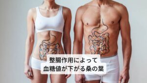 桑の葉は和名ではトウグワ（唐桑）と呼ばれています。主要成分にはDNJ（デオキシノジリマイシン）、γアミノ酪酸（GABA）、クロロフィル、フィトステロール（シトトステロール）、ミネラル（鉄、カルシウム、亜鉛）などが含まれています。作用には
①利尿作用
②血糖調整作用
③抗菌作用
④血圧降下作用
⑤滋養強壮
⑥鎮咳作用（咳を鎮める）
⑦発汗促進
⑧去痰作用（痰を排出する）
⑨利尿作用
⑩消炎作用
があります。
効用には生活習慣病の予防、便秘改善などがあります。