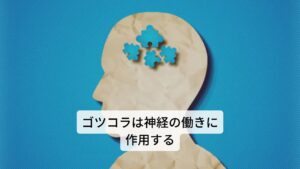 ゴツコラは和名ではツボクサと呼ばれています。主要成分にはトリテルペン、タンニン、配糖体、精油、ヘテロシド、樹脂などが含まれています。
作用には
①体質の改善
②浄化作用
③滋養強壮
④抗炎症作用
⑤鎮痙作用（痙攣を鎮める）
⑥創傷の治癒
⑦免疫強化作用
⑧去痰作用（痰を排出する）
⑨緩下作用（便が出やすくする）
効用 痔の改善、シミの改善、火傷の治癒、ニキビの改善、静脈障害の改善