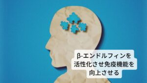 エゾウコギの主成分であるエレウテロサイドEには免疫力を高める効果があり、脳下垂体から脳内モルヒネといわれるβ-エンドルフィンの分泌を促進する作用があります。
このβ-エンドルフィンは、免疫機能に大きく関係しています。β-エンドルフィンがNK細胞に結合することにより、NK細胞が活性化されます。
NK細胞は、健康維持に大きな役割を担っており、細胞の活性はストレスによって容易に低下して免疫力も落ちてしまうため、様々な病気にかかりやすくなってしまいます。β-エンドルフィンの働きによりNK細胞の働きが活発になるため、病気予防につながります。