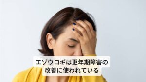 また更年期の様々な症状は、女性ホルモンであるエストロゲンの分泌が低下することで起こります。エゾウコギに含まれるピノレジノール・ジグロコサイドという物質が、体内で女性ホルモンに似た作用をするエンテロラクトンという成分に変わることがわかっており、更年期障害の治療・予防効果、さらに乳がんの予防にも期待できるとされています。