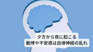 夕方から夜に起こる動悸や不安感はストレスの影響もある動悸や不安感は自分の心臓の拍動(心拍,ドキドキという動き)に敏感になって不快感や違和感を自覚する状態のことです。

この心臓の拍動の異常に自律神経の乱れが関係しています。身体的なストレスや精神的なストレスによって自律神経を調整している脳の視床下部や下垂体の働きが低下することで自律神経に乱れが生じます。


とくにこの自律神経の乱れが顕著に現れるのが夕方から夜の交感神経と副交感神経の切り替わりの時に起こります。
夕方から夜に動悸や不安感が生じやすいのはこの自律神経の切り替わりがあるからです。※2

※人によっては夕方に強い眠気が起こる方もいます。
　詳細な情報は下記のリンクからご覧ください。