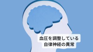 起立性低血圧は血圧を調整している自律神経の異常