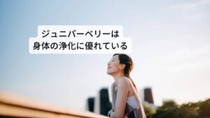 ジュニパーベリーは和名ではセイヨウネズ（西洋杜松）、トショウ（杜松）と呼ばれています。主要成分には揮発成分、フラボノイド、糖類、配糖体、タンニン、ポトフィロトキシン(抗ガン物質)、ビタミンCなどが含まれています。
作用には
①尿路の殺菌作用
②利尿作用
③駆風作用（お腹のガスを排出）
④消化促進
⑤子宮の刺激
⑥抗リウマチ作用
⑦発汗作用
⑧抗菌作用
⑨解毒作用
⑩健胃作用
⑪食欲増進
⑫殺菌作用 
などがあります。
効用には泌尿器系の不調の改善、むくみの完治、二日酔いの完治、消化不良の改善、便秘の改善、腹痛の改善などがあります。 