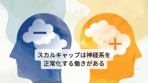 スカルキャップは和名ではタツナミソウと呼びます。主要成分にはフラボノイド、苦味質、精油、タンニン、ミネラルなどが含まれています。
作用には
①鎮静作用
②催眠作用
③強壮作用
④神経系の回復促進
⑤鎮痙（痙攣を鎮める）
⑥利尿作用
などがあります。 
効用には神経衰弱の改善、神経過敏の鎮静、不安完治、不眠改善、うつ症状の緩和、緊張の緩和などがあります。 