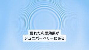 ジュニパーとは、ヒノキ科ビャクシン属の棘のある低木を指します。栽培されているものは丈が1.8m位になりますが、北欧の原生林となると高さ10mほどにまで成長するまでになります。数多くの品種があり、アルプスの高い山々に生育する寒さに強く丈の低いドゥオーフ・ジュニパーという種から、暖かい国に多く見られる大木になるジュニパーまで、様々になります。
秋に実を熟すジュニパーの果実は熟すのに3年間かかるとされています。熟して紺色になった果実をジュニパーベリーと呼びます。風味はライムに似た香りを持つことから、お酒のジンの香りづけとして使われています。
ジュニパーの果実のもつ利尿作用は古くから用いられており、中世には薬草酒として利用されています。その優れた利尿作用はデトックス（毒素の排出）やダイエットにはとても有効です。
しかし、腎臓の弱い人には負担がかかりすぎるともいわれており注意が必要です。ジュニパーのエッセンシャルオイルは、月経の周期を整える働きがあり、月経周期を正常化し生理痛を緩和させます。また、安全に出産するのを助ける力があるともいわれています。