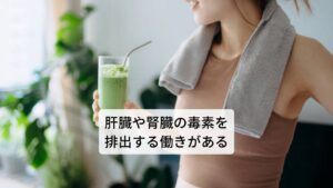 肝臓や腎臓の毒素を排出する働きがある