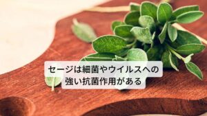 セージは和名ではヤクヨウサルビア（薬用サルビア）と呼びます。主要成分には精油（ツヨシ、シオネール、カンファーほか）、フラボノイド、縮合タンニン、ホルモン様物質などが含まれています。作用には
①抗菌作用
②収斂作用（毛穴を引き締める）
③内分泌調整
④抗真菌作用
⑤抗ウイルス作用
⑥制汗作用
⑦母乳分泌抑制
⑧消毒作用
⑨駆風作用（お腹のガスを排出する）
⑩抗痙攣作用
効用には口腔・咽頭の炎症の鎮静、口内炎の改善、歯肉炎の完治、更年期や心身症の発汗異常の改善、寝汗の改善などがあります。 