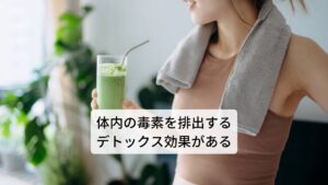 さらにジュニパーベリーのエッセンシャルオイルには、健胃作用（胃を強くする）と駆風作用（お腹のガスを排出する）、解毒作用の効果があります。そのためアルコール飲料を飲み過ぎたり、こってりとした食物を摂り過ぎたりした時に生じる体内の毒性物質を体外へと排出する効果が期待できます。
このことからジュニパーベリーのエッセンシャルオイルには、胃腸の調子を整え腹痛を治療したり、肥満の完治にも効果的です。
また解毒は全般に効果を表すため、血中の尿酸値を下げ、淋病、リウマチへも効果があるとされています。また、消化器全体に作用することから、食欲を増進させる効果もあります。